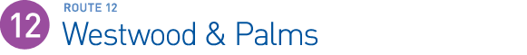 ute 12 - Palms